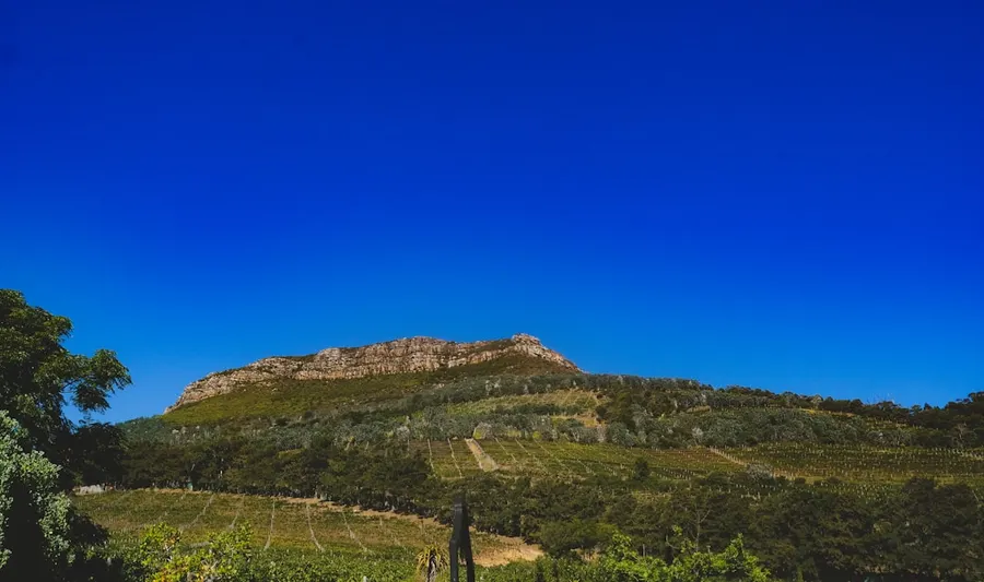Afrique du Sud 1