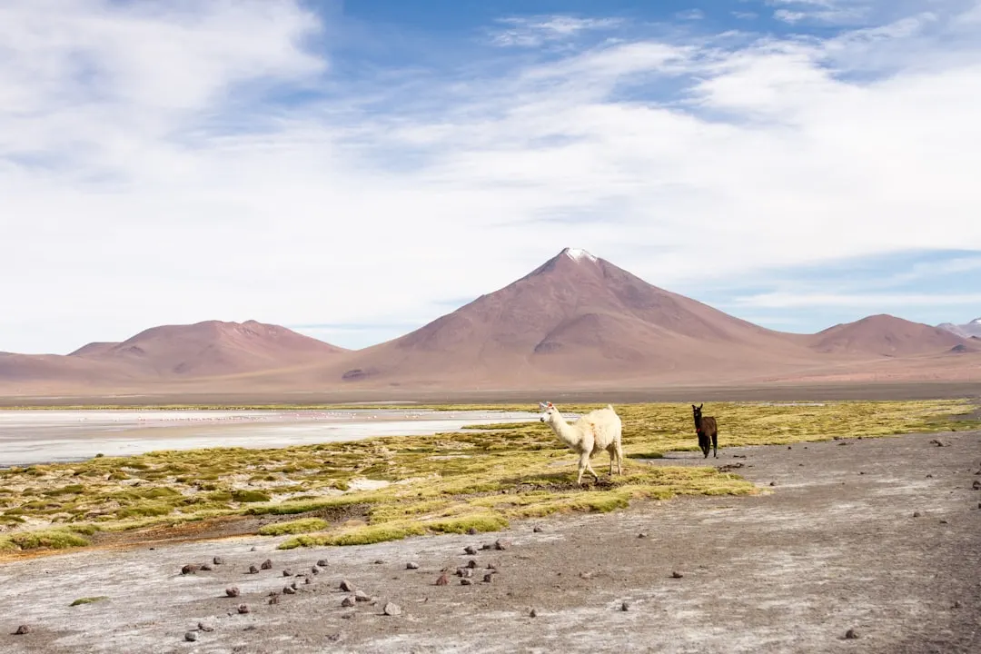 Bolivie
