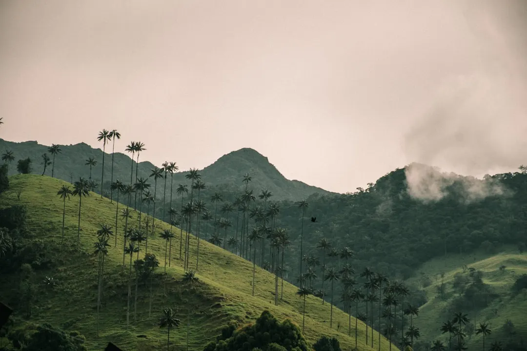 Colombie