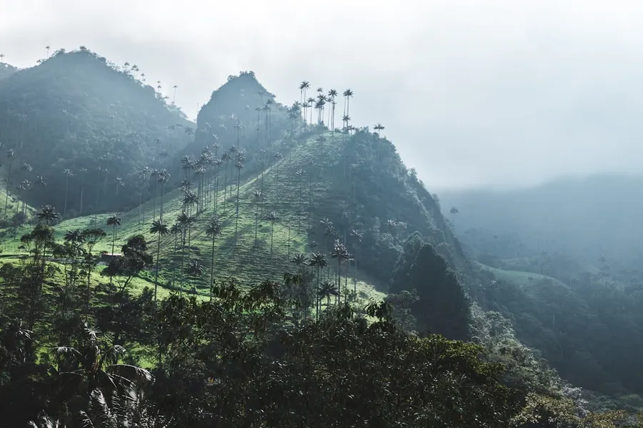 Colombie 1