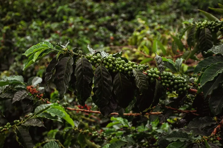 Colombie 2