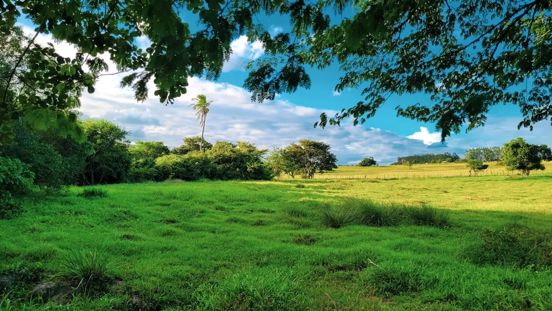 Pantanal