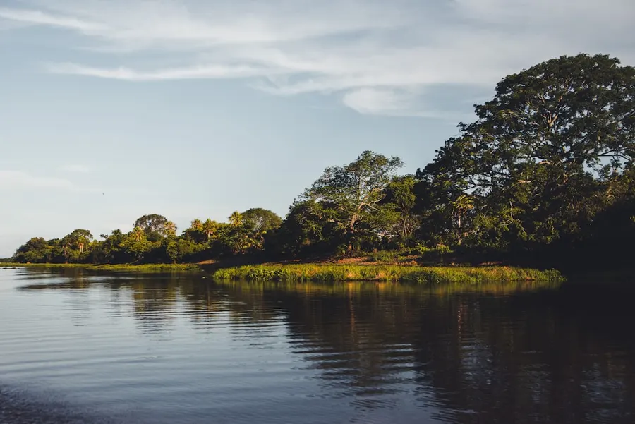 Pantanal 1