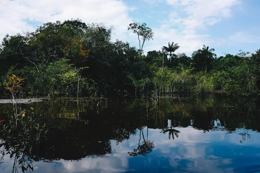 Pantanal 2
