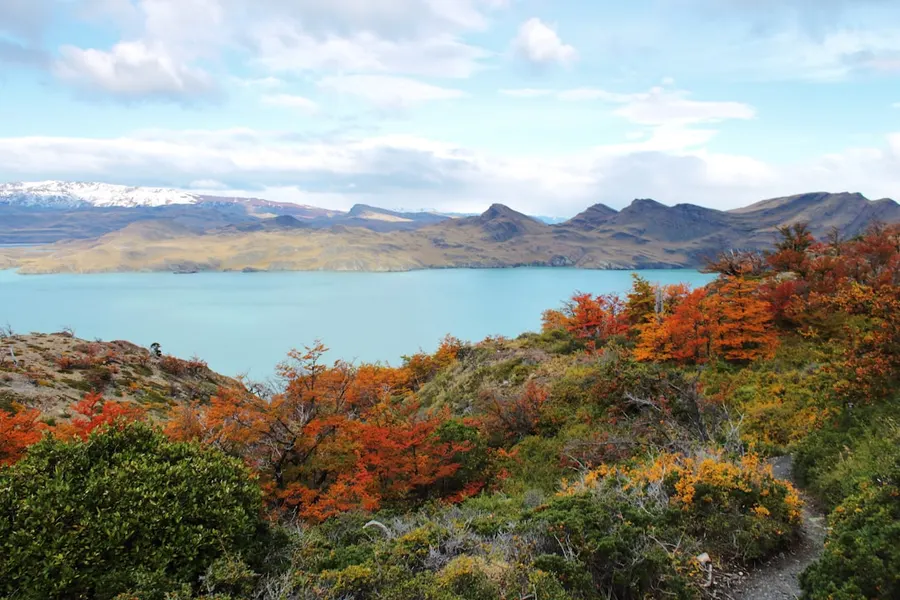 Patagonie chilienne 1