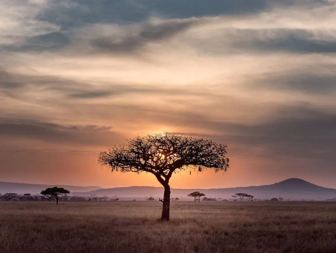 Tanzanie