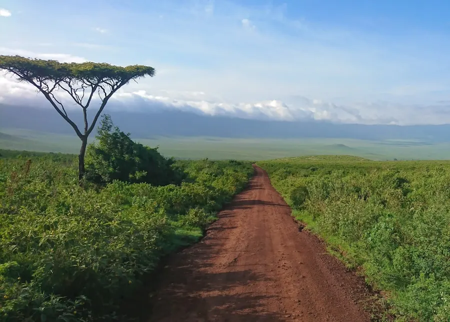 Tanzanie 1