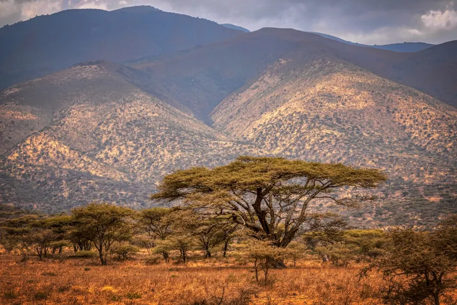 Tanzanie 2