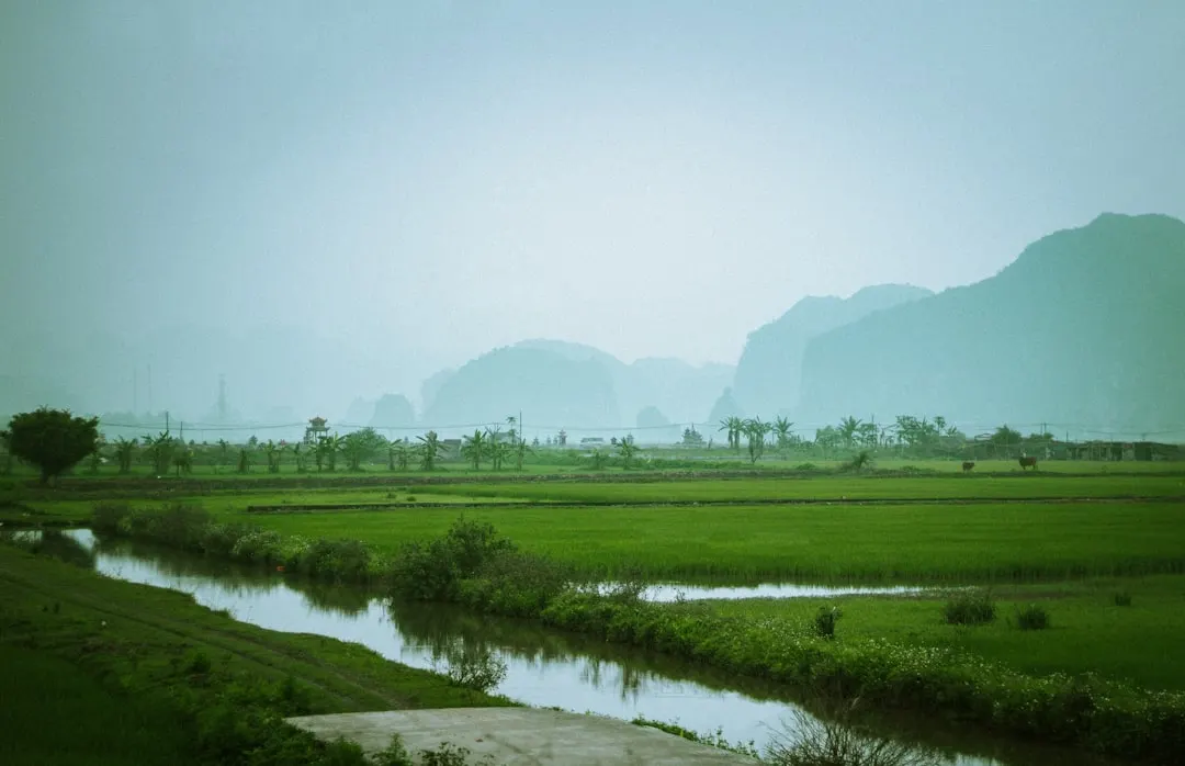 Vietnam